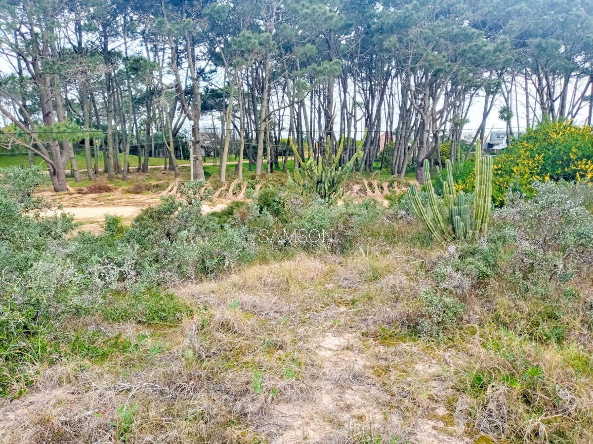 Terreno ID.64315 - Terreno Venta en Piedras del Chileno Punta del Este