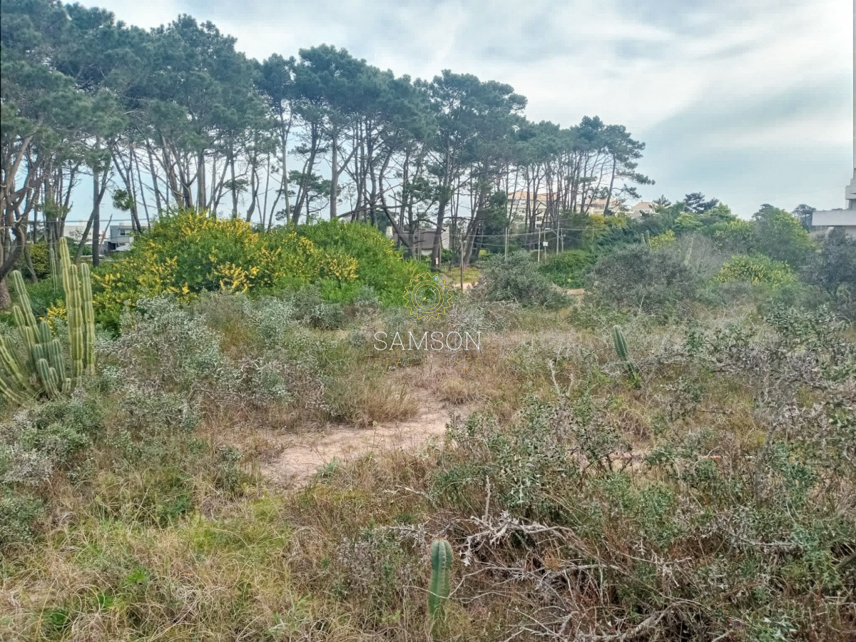 Terreno ID.64315 - Terreno Venta en Piedras del Chileno Punta del Este
