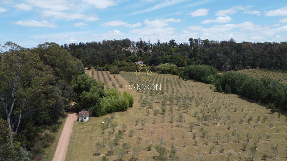 Terreno ID.65971 - Venta fracción de 28 HA la sierra del Peñasco para fraccionamiento 