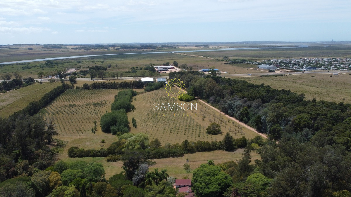 Terreno ID.65971 - Venta fracción de 28 HA la sierra del Peñasco para fraccionamiento 