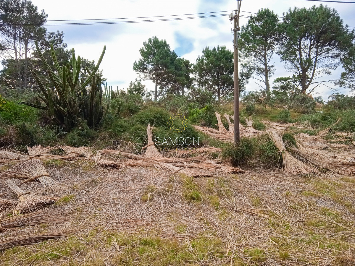 Terreno ID.64315 - Terreno Venta en Piedras del Chileno Punta del Este