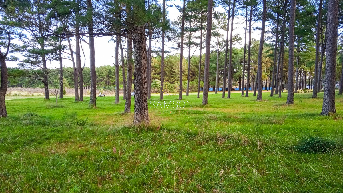 Terreno ID.64237 - Oportunidad Terreno Venta en Lussich, Punta Ballena