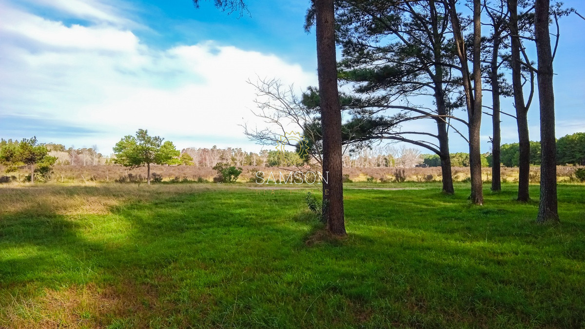 Terreno ID.64237 - Oportunidad Terreno Venta en Lussich, Punta Ballena