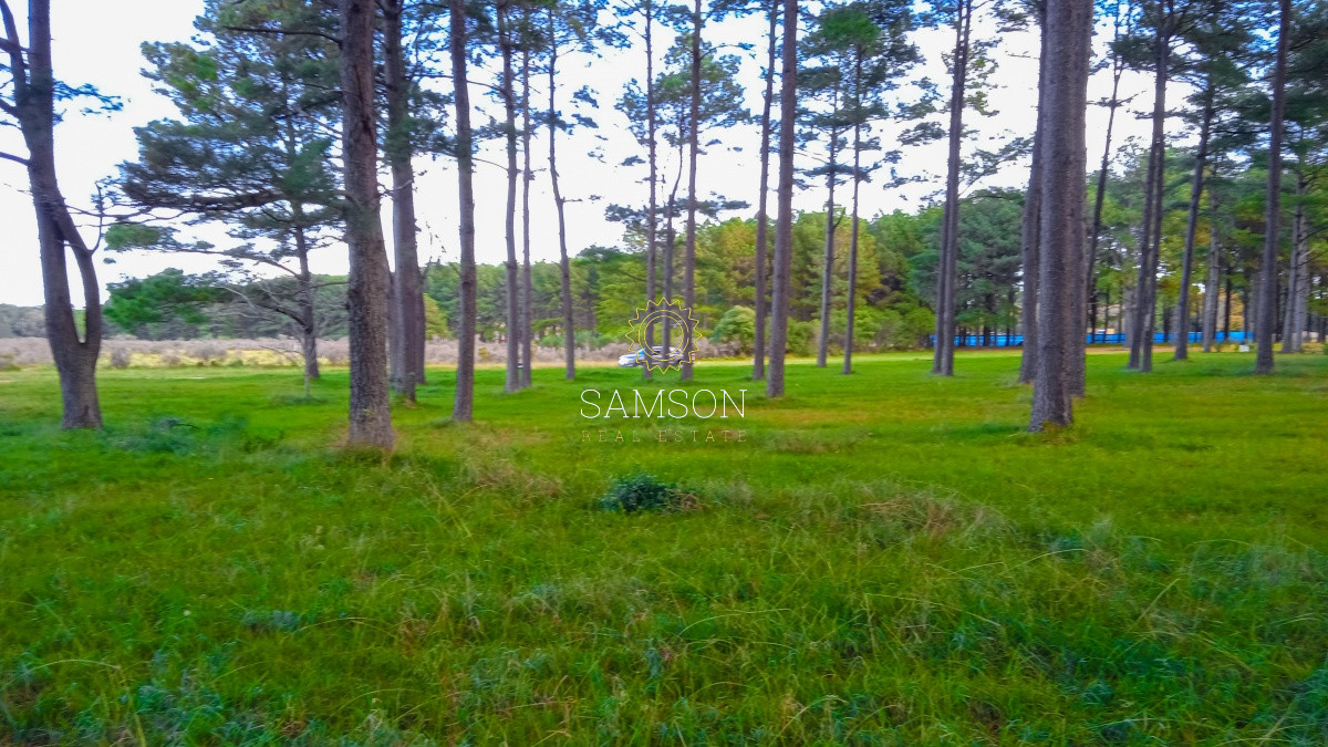 Terreno ID.64237 - Oportunidad Terreno Venta en Lussich, Punta Ballena