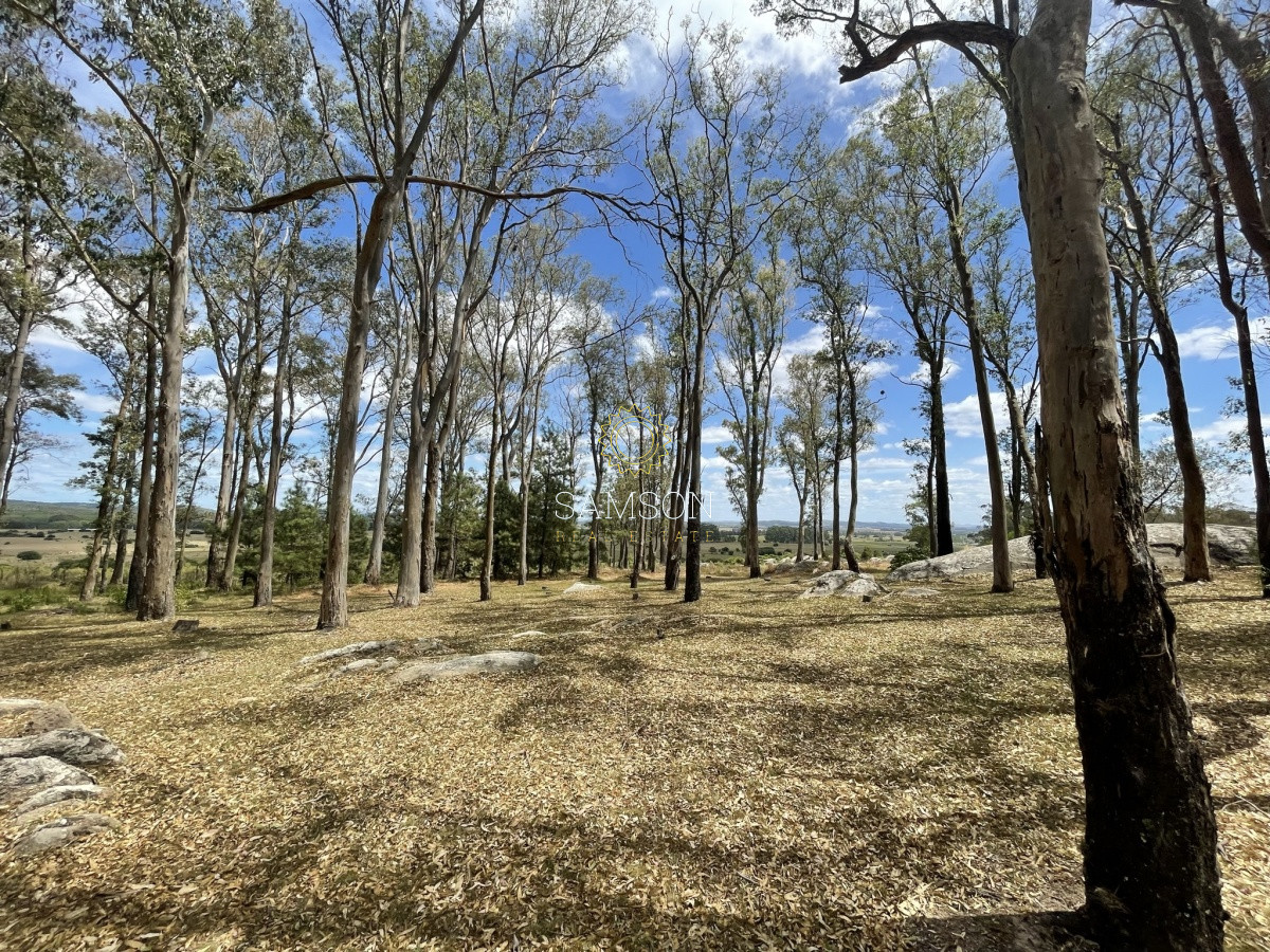 Terreno ID.65971 - Venta fracción de 28 HA la sierra del Peñasco para fraccionamiento 