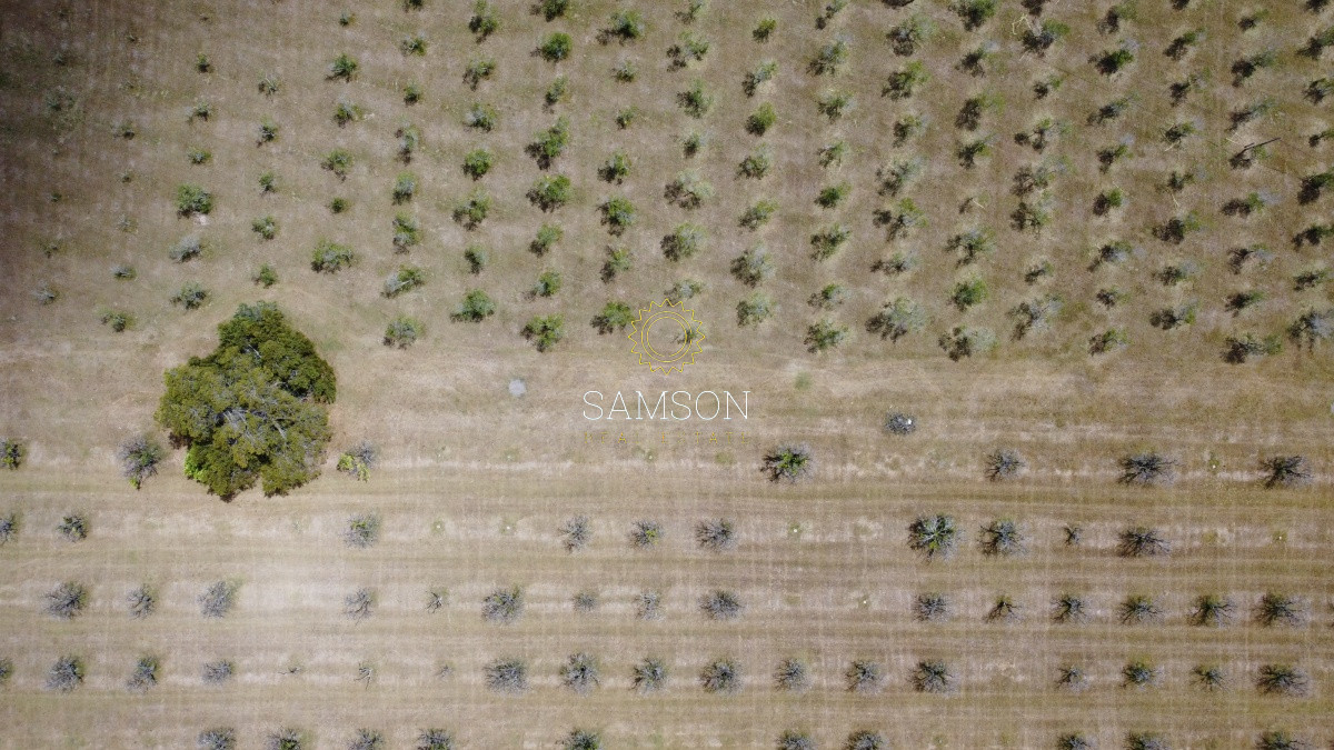 Terreno ID.65971 - Venta fracción de 28 HA la sierra del Peñasco para fraccionamiento 