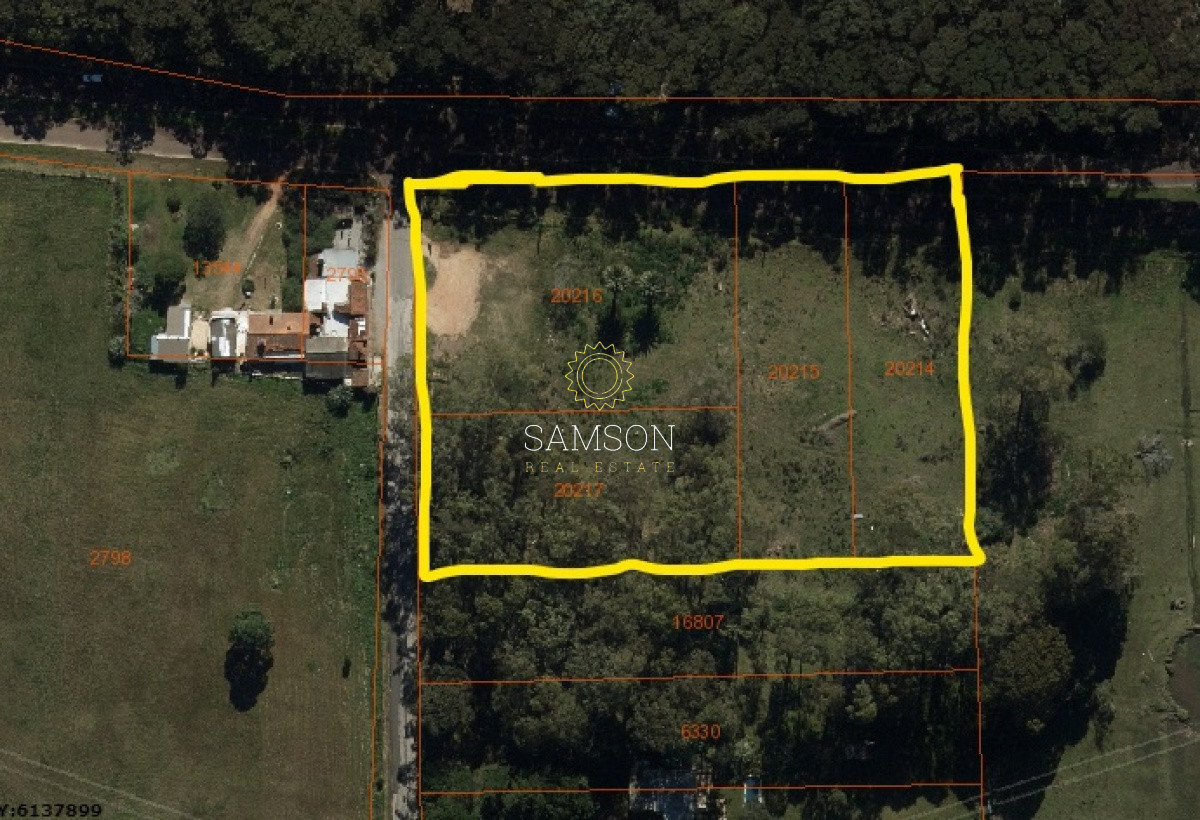 Terreno ID.64485 - 10.000 METROS DE TERRENO EN PUNTA BALLENA 