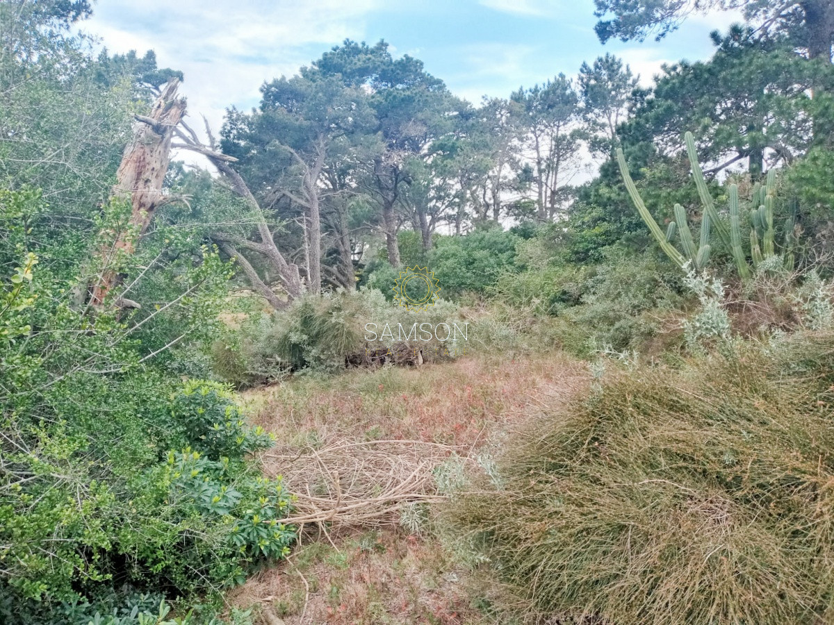 Terreno ID.64315 - Terreno Venta en Piedras del Chileno Punta del Este