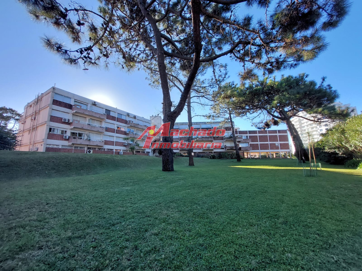 Aidy Grill - GoPunta - Portal Inmobiliario de Punta del Este - Maldonado