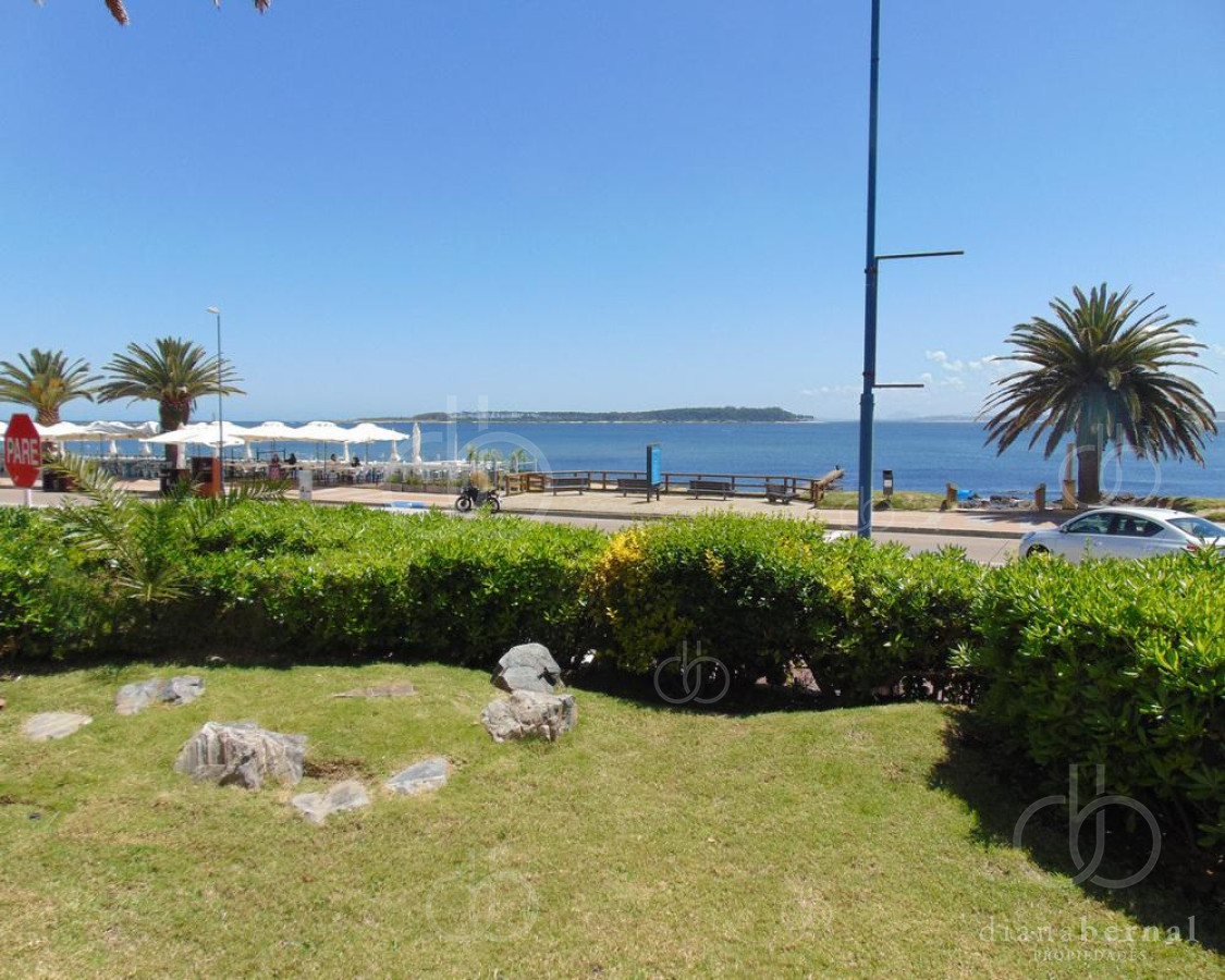 Brava - GoPunta - Portal Inmobiliario de Punta del Este - Maldonado