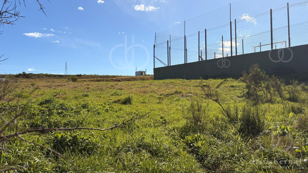 Terreno con frente a Avda - DBP55676T