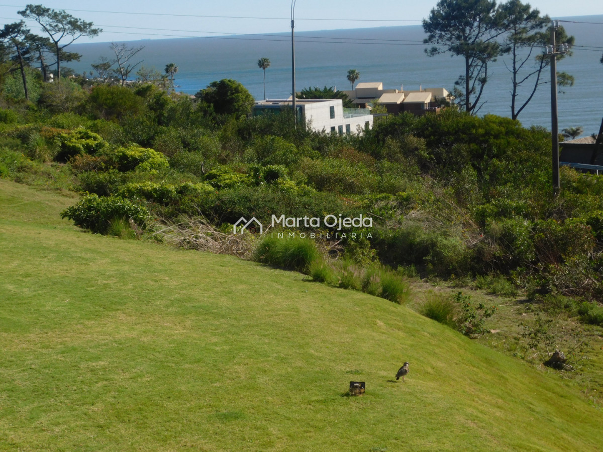 Apartamento ID.41396 - APARTAMENTO EN VENTA 2 DORMITORIOS PUNTA BALLENA