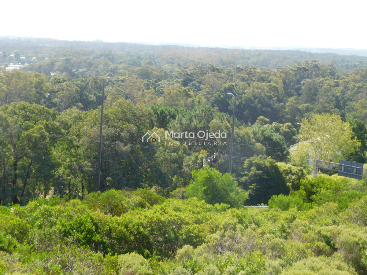 Apartamento ID.41396 - APARTAMENTO EN VENTA 2 DORMITORIOS PUNTA BALLENA