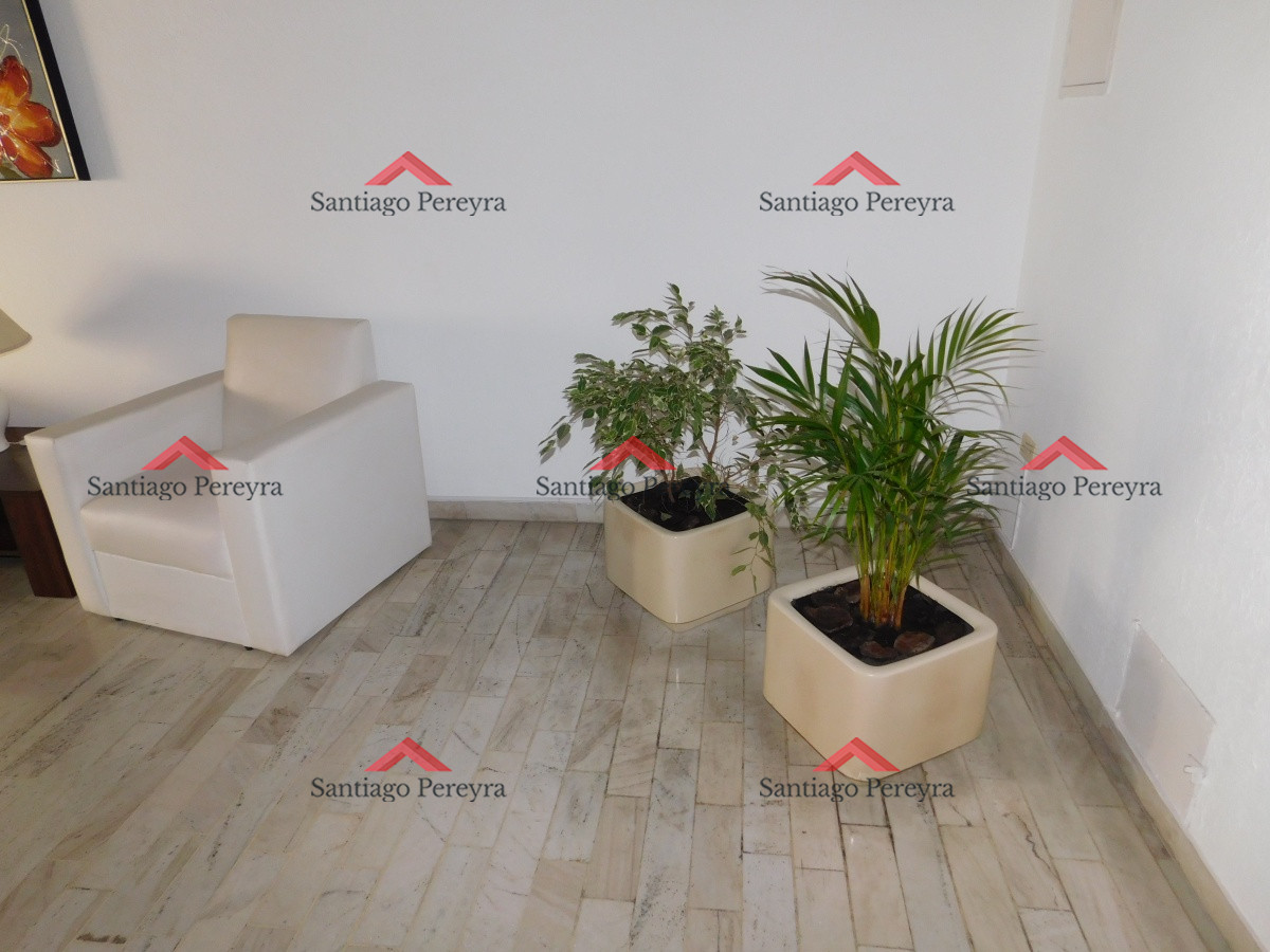 Apartamento ID.15582 - Apartamento en Punta del Este, Península