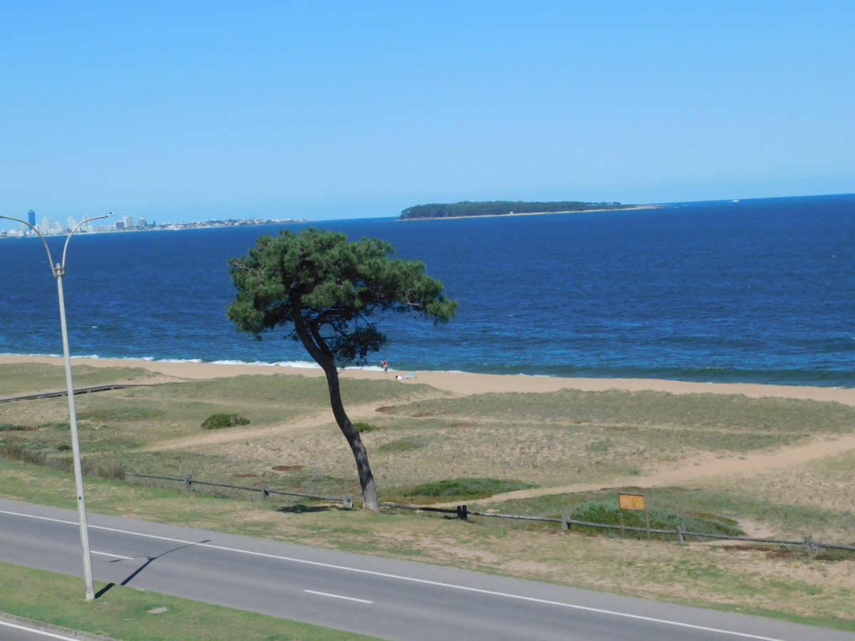 Apartamentos en Pinares