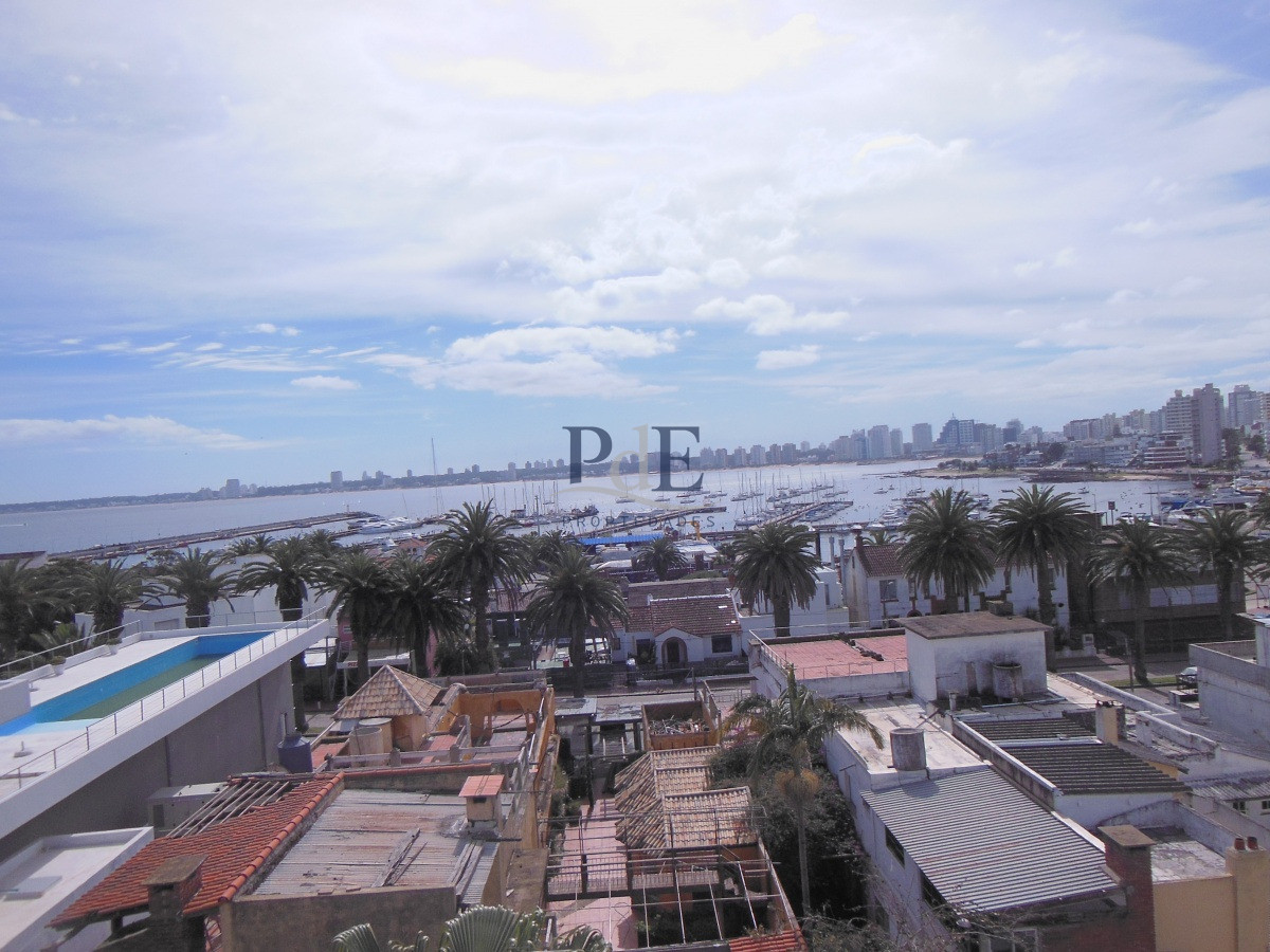 Apartamento en el corazón del Puerto de Punta del Este. - Imagen 1