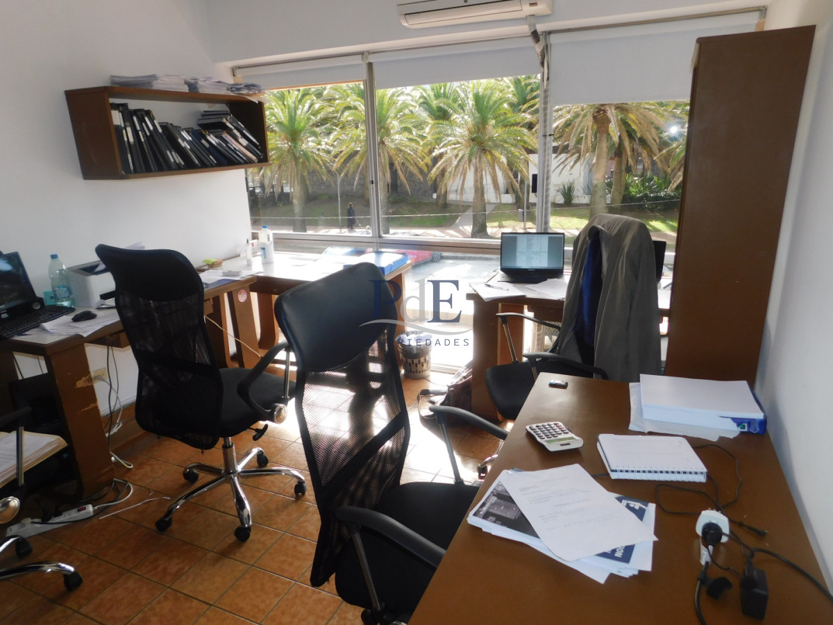 Local Comercial en Punta del Este, Punta del Este - Imagen 11