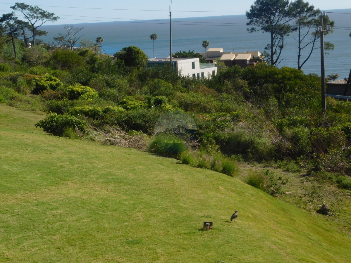 Apartamento ID.6523 - APARTAMENTO EN VENTA 2 DORMITORIOS PUNTA BALLENA