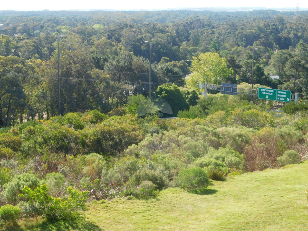 Apartamento ID.6523 - APARTAMENTO EN VENTA 2 DORMITORIOS PUNTA BALLENA