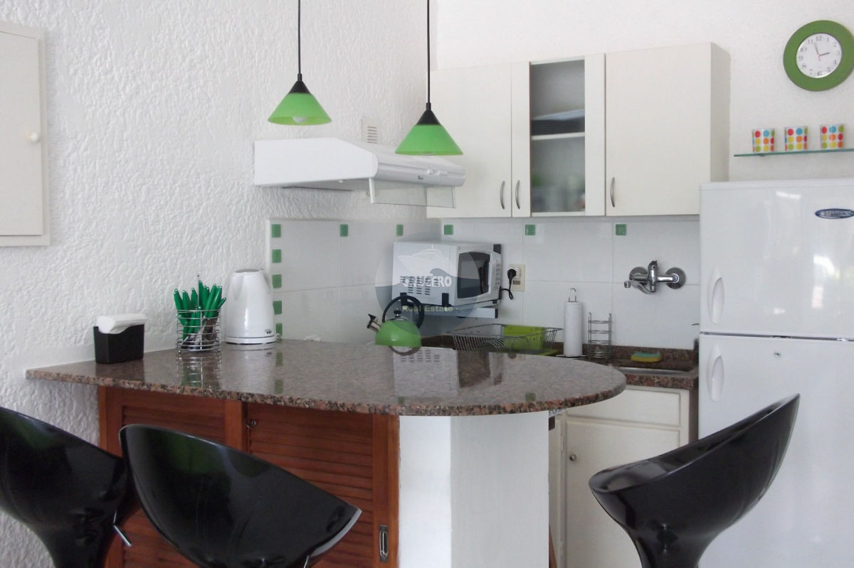 Apartamento ID.1129 - Apartamento en Punta del Este, Península