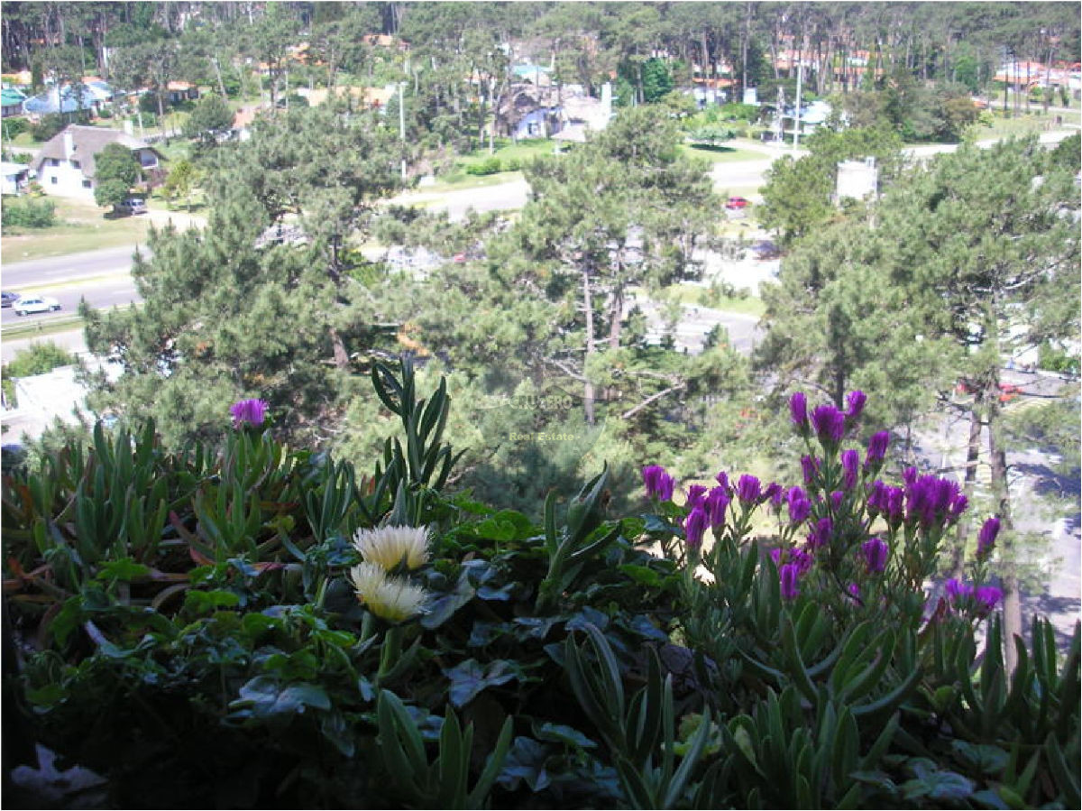 Apartamento ID.1242 - Apartamento en Punta del Este, Roosevelt