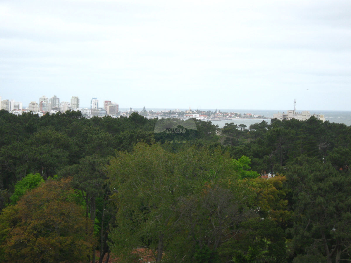 Apartamento ID.1616 - VENTA APARTAMENTO 3 DORMITORIOS EN ROOSEVELT 