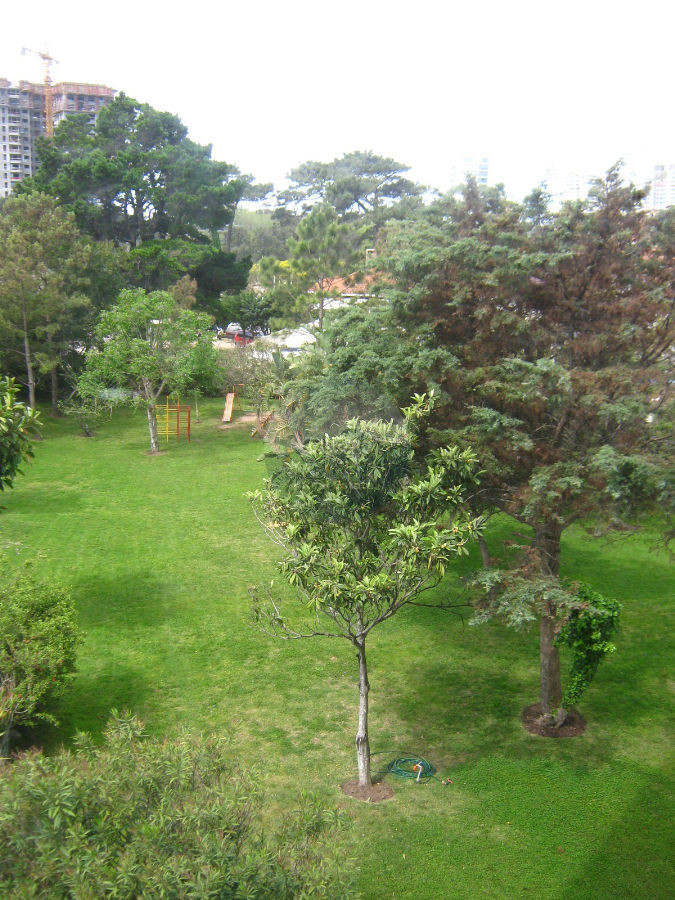 Apartamento ID.1911 - Apartamento en Punta del Este, Aidy Grill