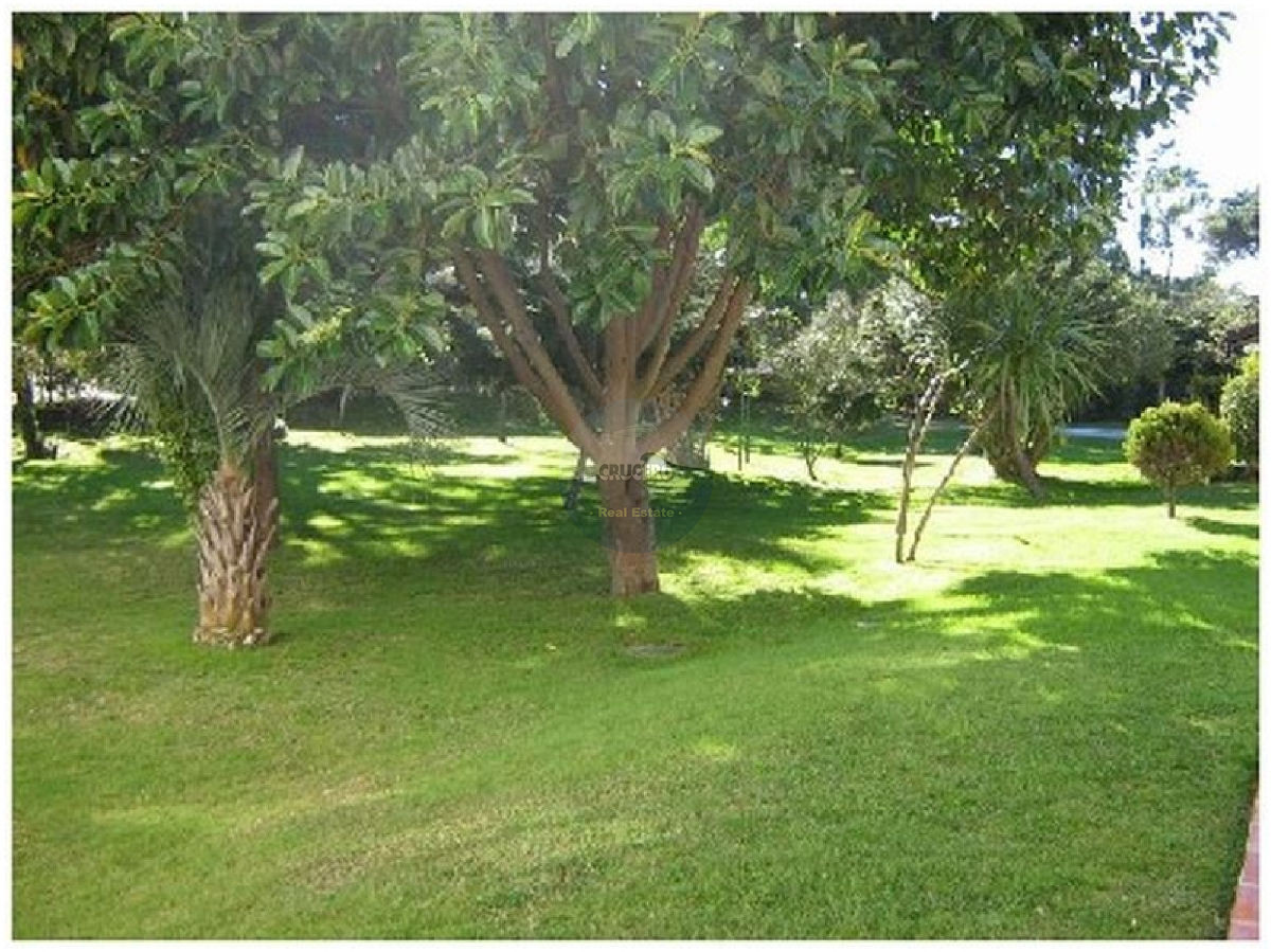 Apartamento ID.1978 - Apartamento en Punta del Este, Aidy Grill