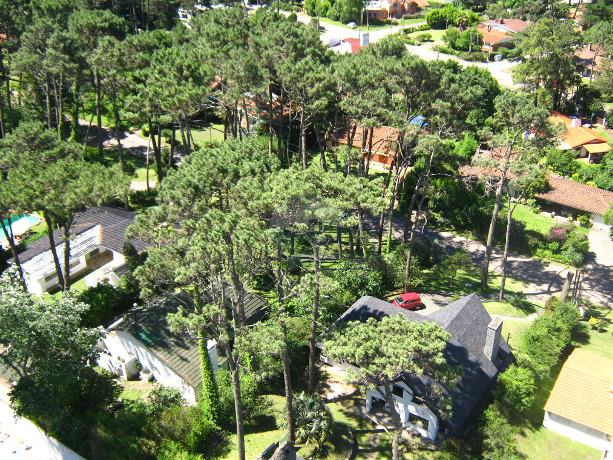Apartamento ID.2497 - Apartamento en Punta del Este, Roosevelt