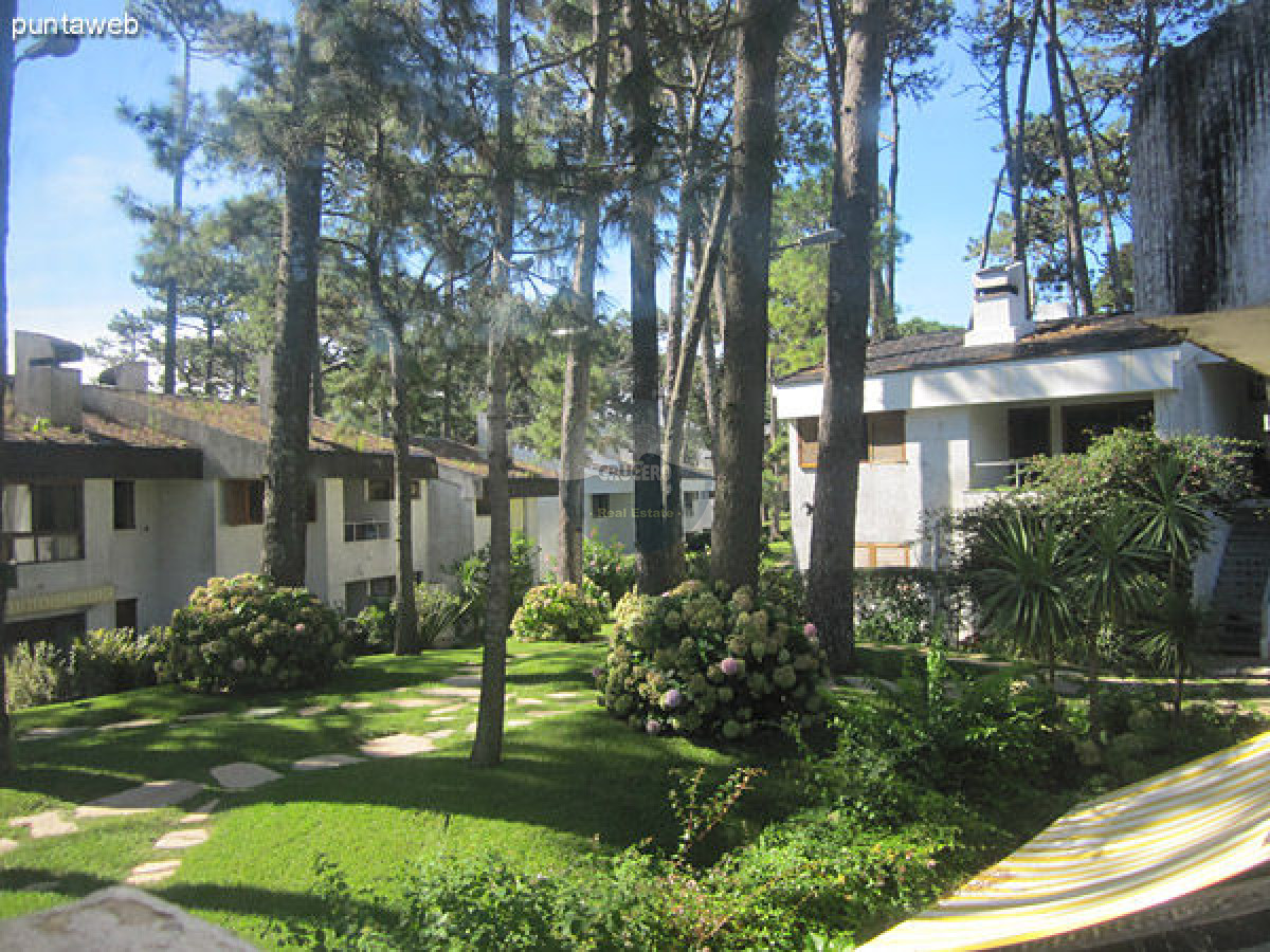 Apartamento ID.2528 - Apartamento en Punta del Este, Roosevelt