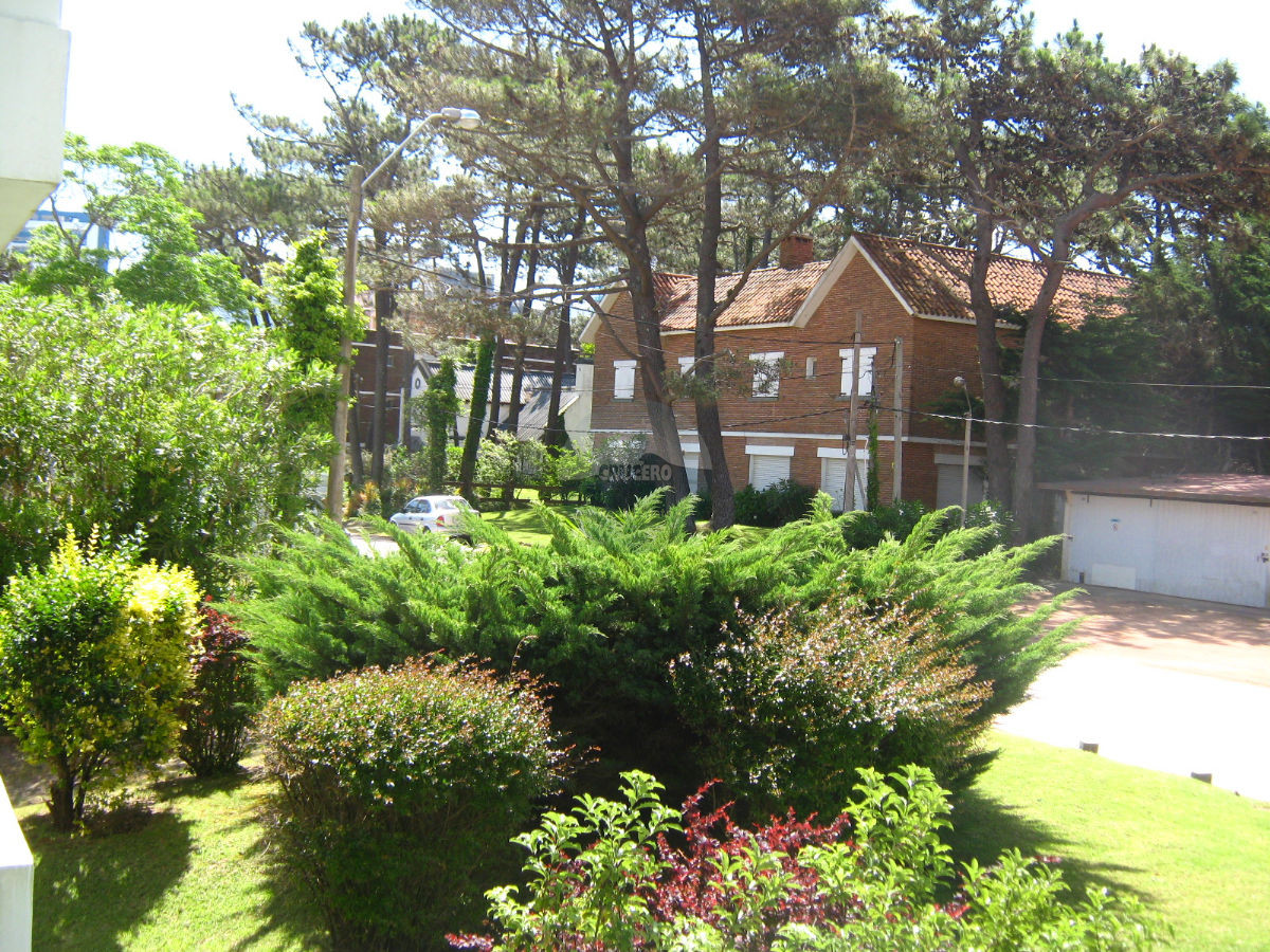 Apartamento ID.2532 - Apartamento en Punta del Este, Aidy Grill