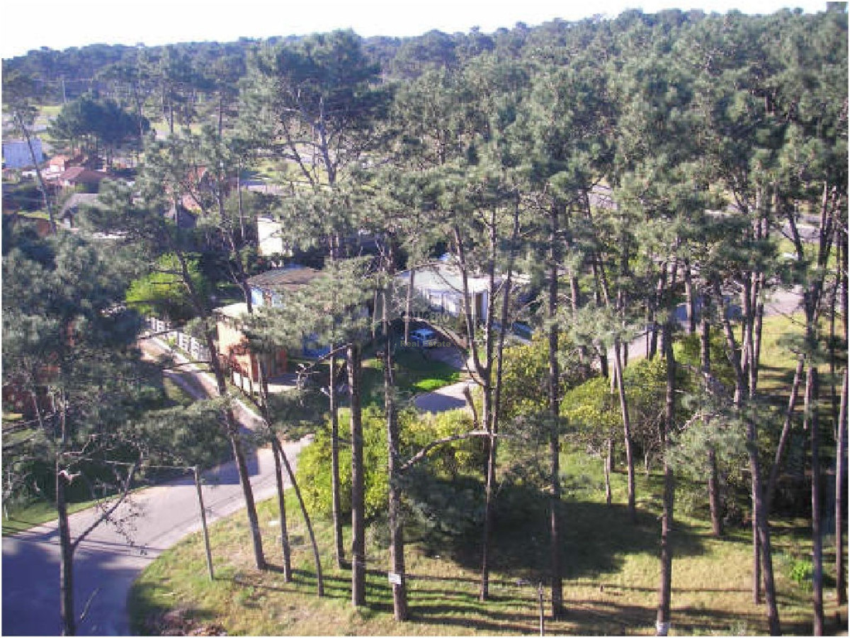 Apartamento ID.479 - Apartamento en Punta del Este, Roosevelt