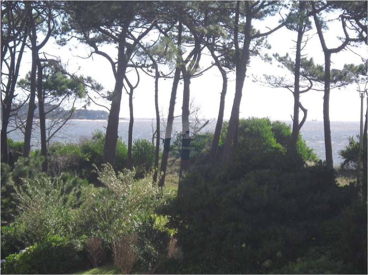 Apartamento ID.678 - Apartamento en Punta del Este, Mansa