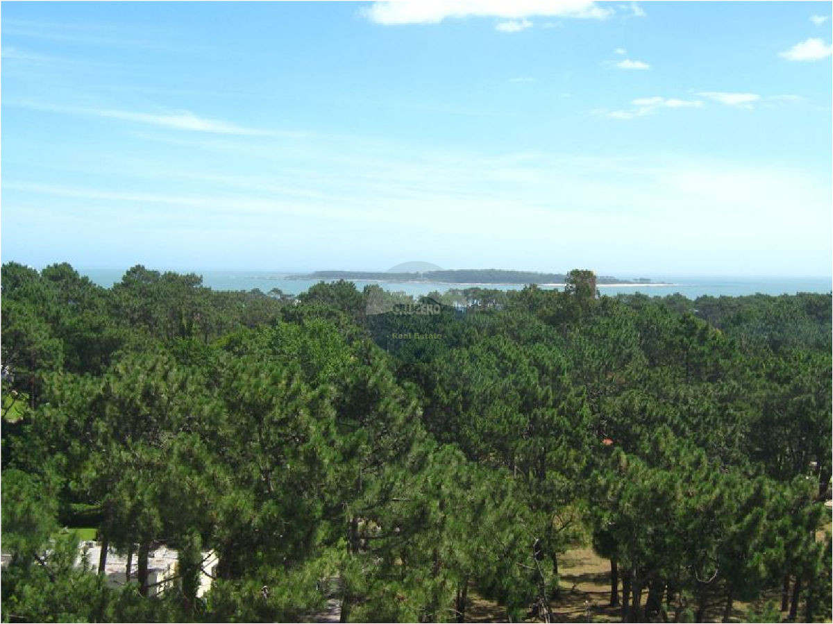 Apartamento ID.74 - Apartamento en Punta del Este, Roosevelt