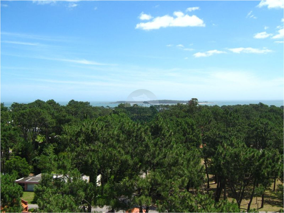 Apartamento ID.74 - Apartamento en Punta del Este, Roosevelt