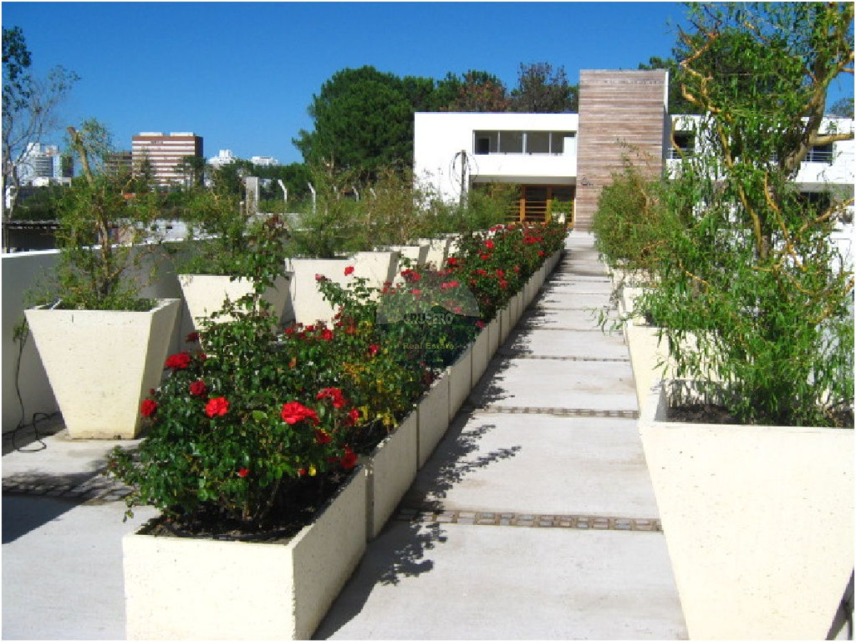 Apartamento ID.793 - Apartamento en Punta del Este, Aidy Grill