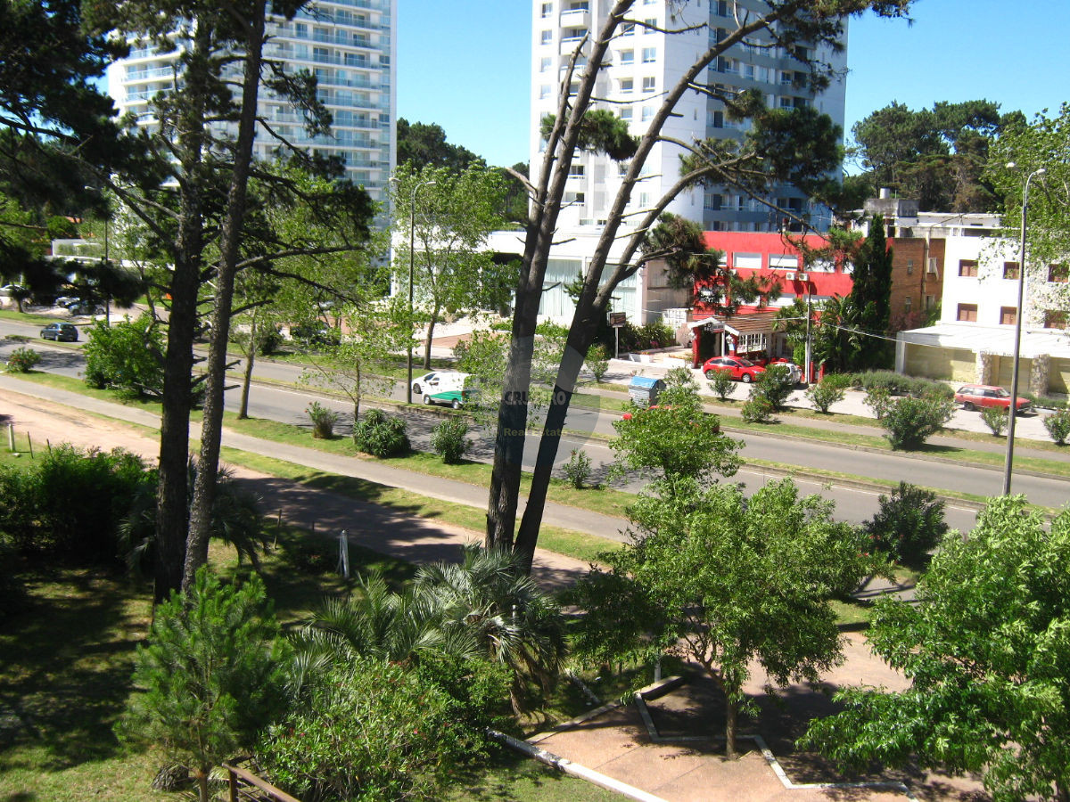 Apartamento ID.911 - Apartamento en Punta del Este, Roosevelt