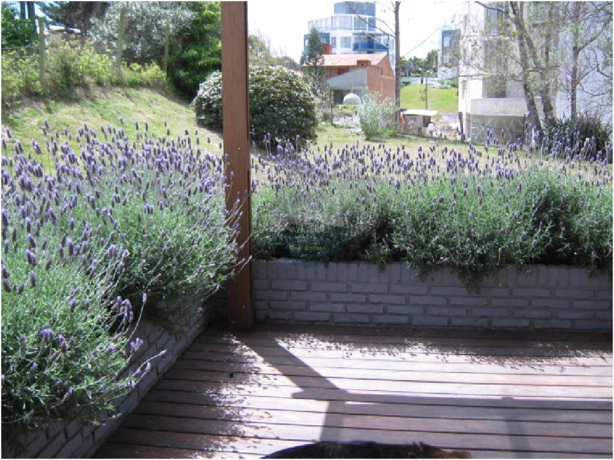 Casa ID.4105 - Casa en Punta del Este, Aidy Grill