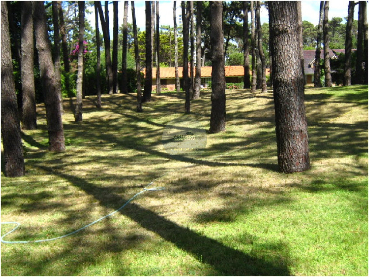 Casa ID.4137 - Casa en Punta del Este, San Rafael