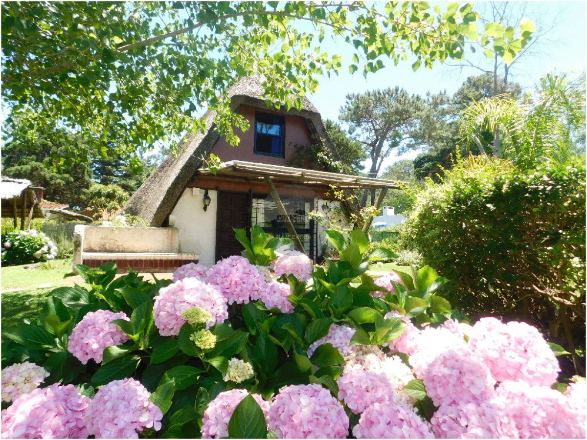 Casa ID.4219 - Casa en Punta del Este, Cantegril