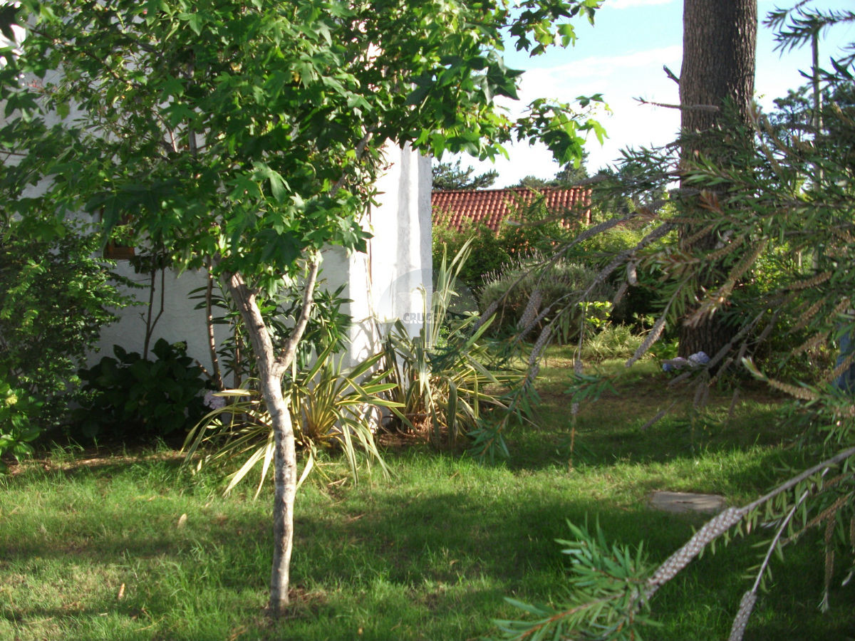 Casa ID.4615 - Casa en Punta del Este, Jardines de CÃ³rdoba