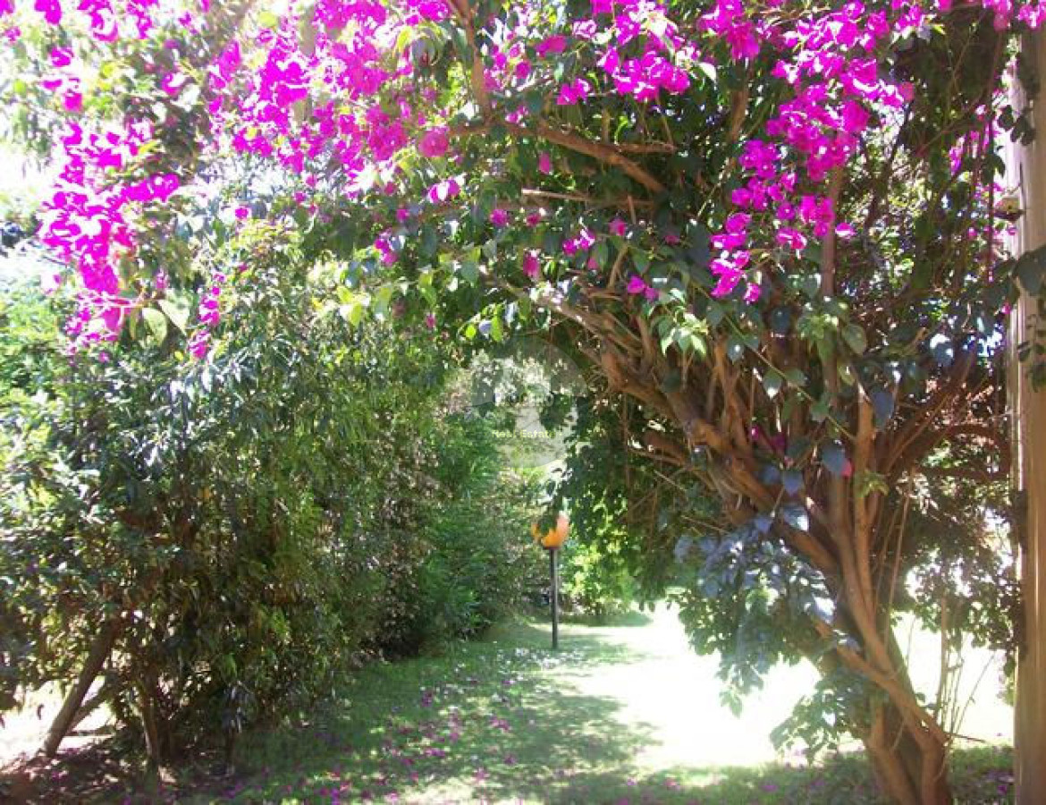 Casa ID.4697 - Casa en Punta Ballena, Solanas