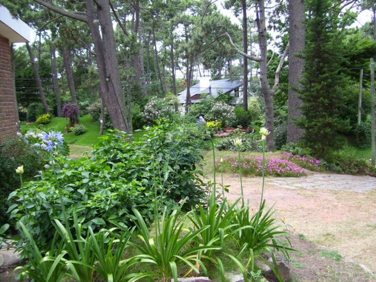 Casa ID.4047 - Casa en Punta del Este, San Rafael