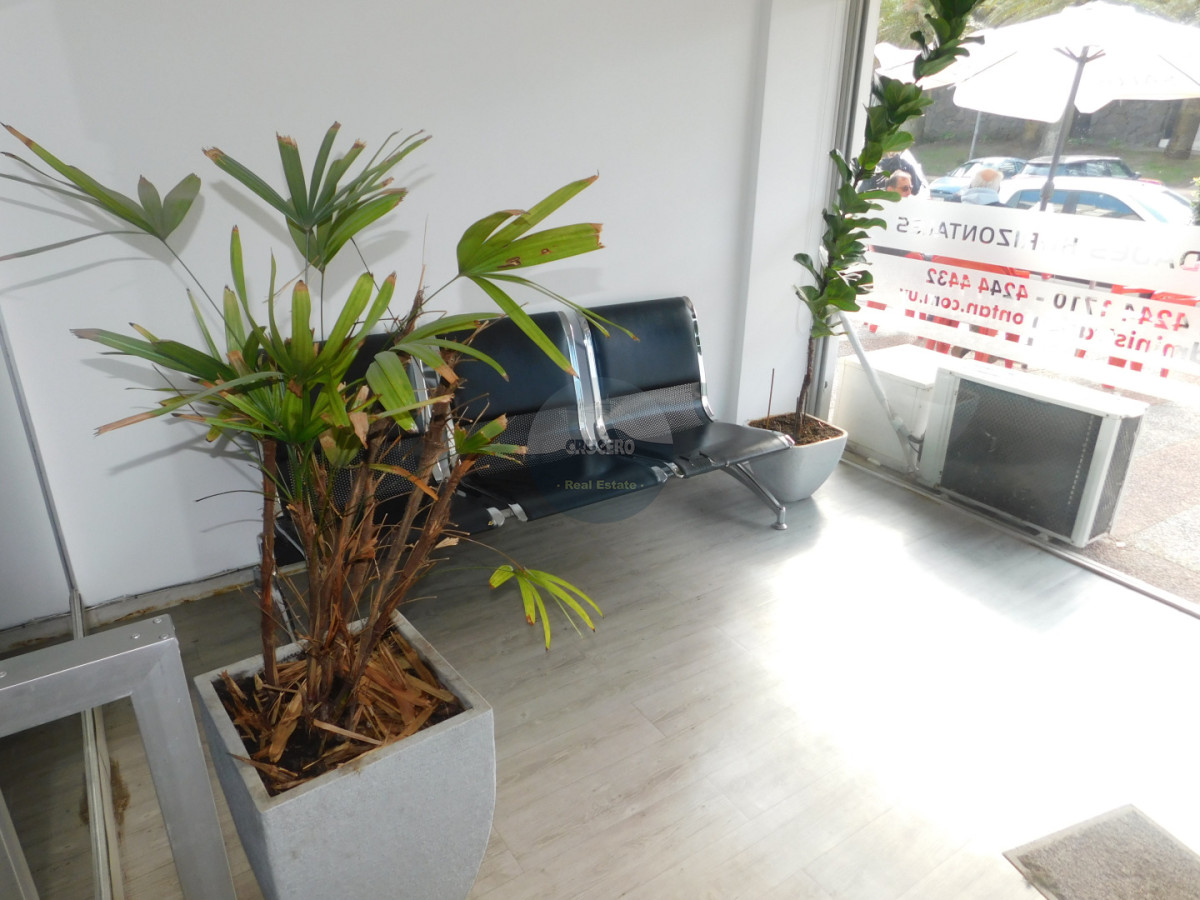 Local Comercial ID.6591 - LOCAL EN VENTA EN PENINSULA 