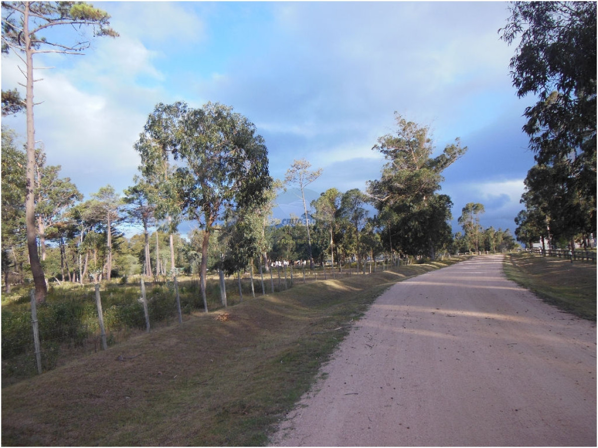 Terreno ID.5287 - VENTA DE TERRENOS EN EDEN ROCK