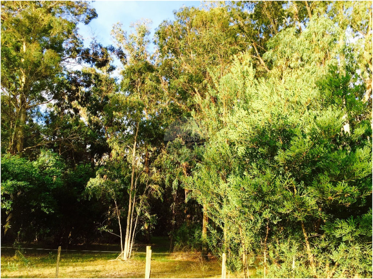 Terreno ID.5287 - VENTA DE TERRENOS EN EDEN ROCK