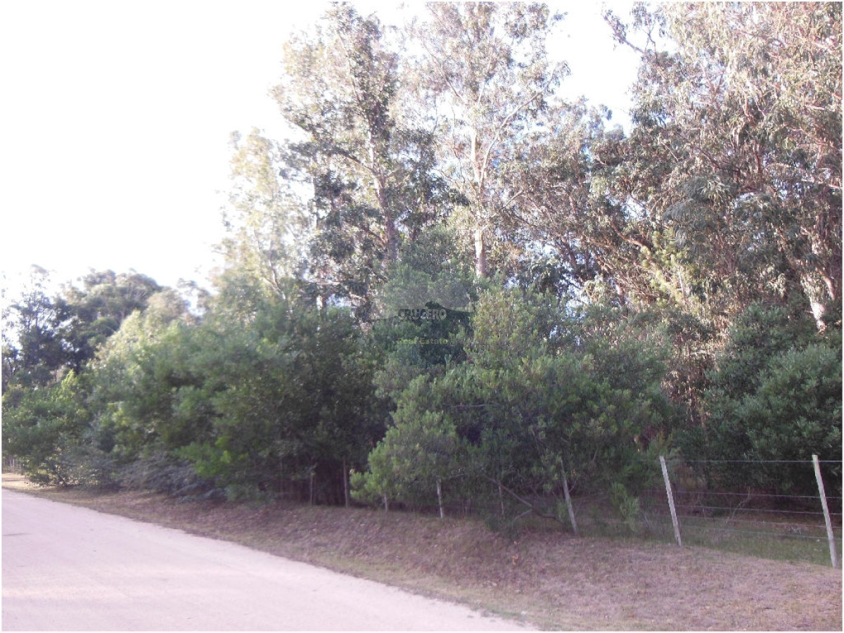 Terreno ID.5287 - VENTA DE TERRENOS EN EDEN ROCK