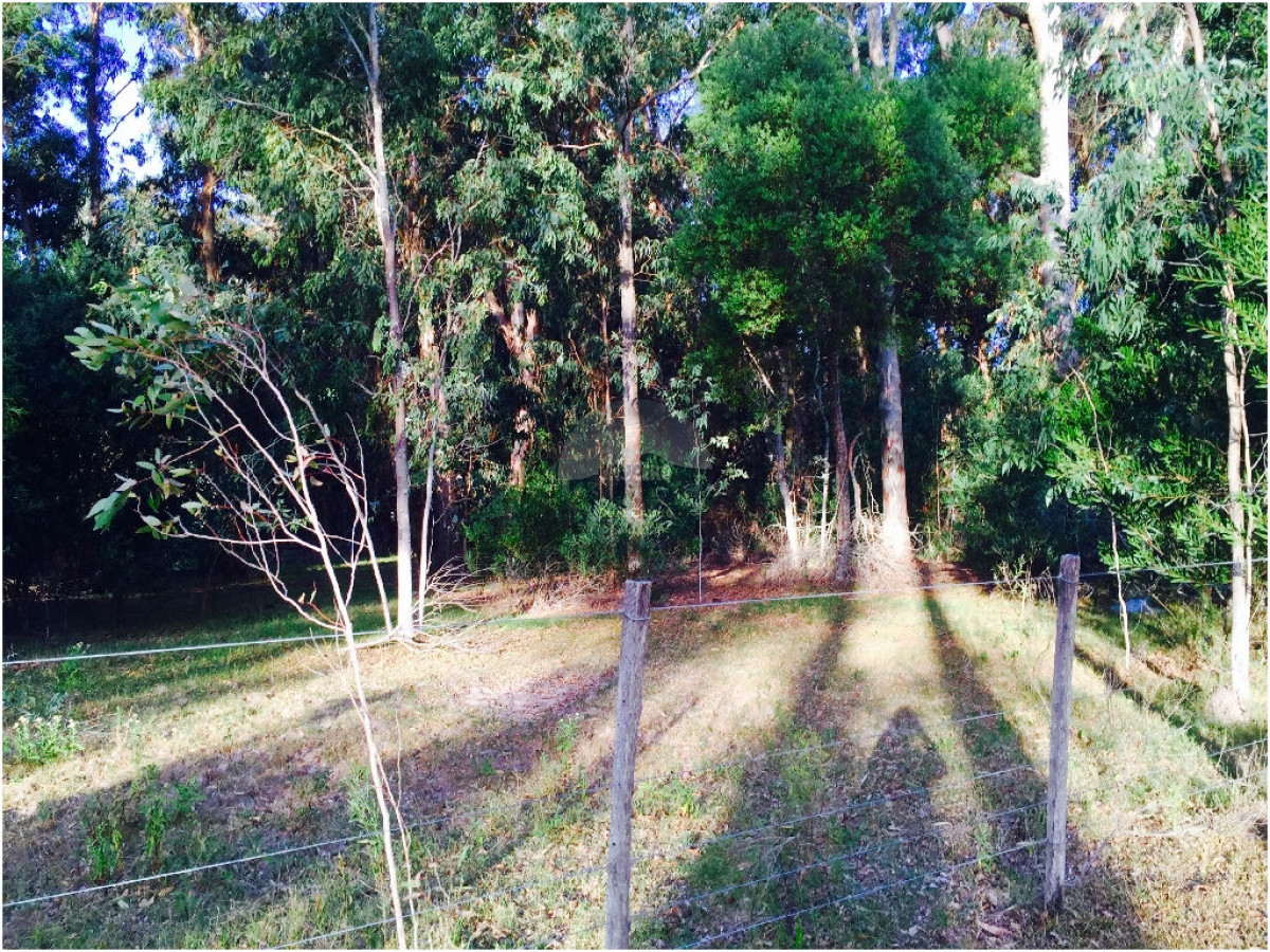 Terreno ID.5287 - VENTA DE TERRENOS EN EDEN ROCK