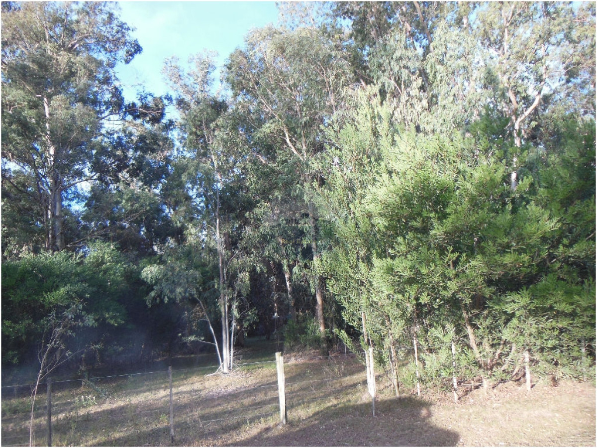 Terreno ID.5287 - VENTA DE TERRENOS EN EDEN ROCK