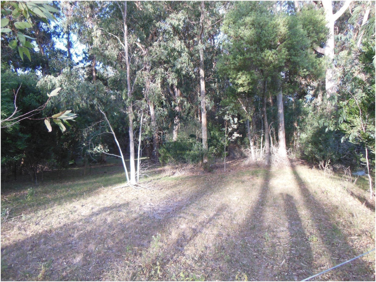 Terreno ID.5287 - VENTA DE TERRENOS EN EDEN ROCK